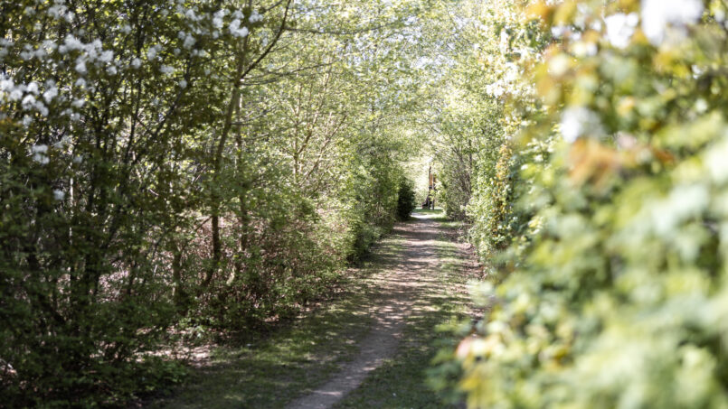 ferienwohnung-sankt-peter-ording-seeperle4-privatweg.jpg